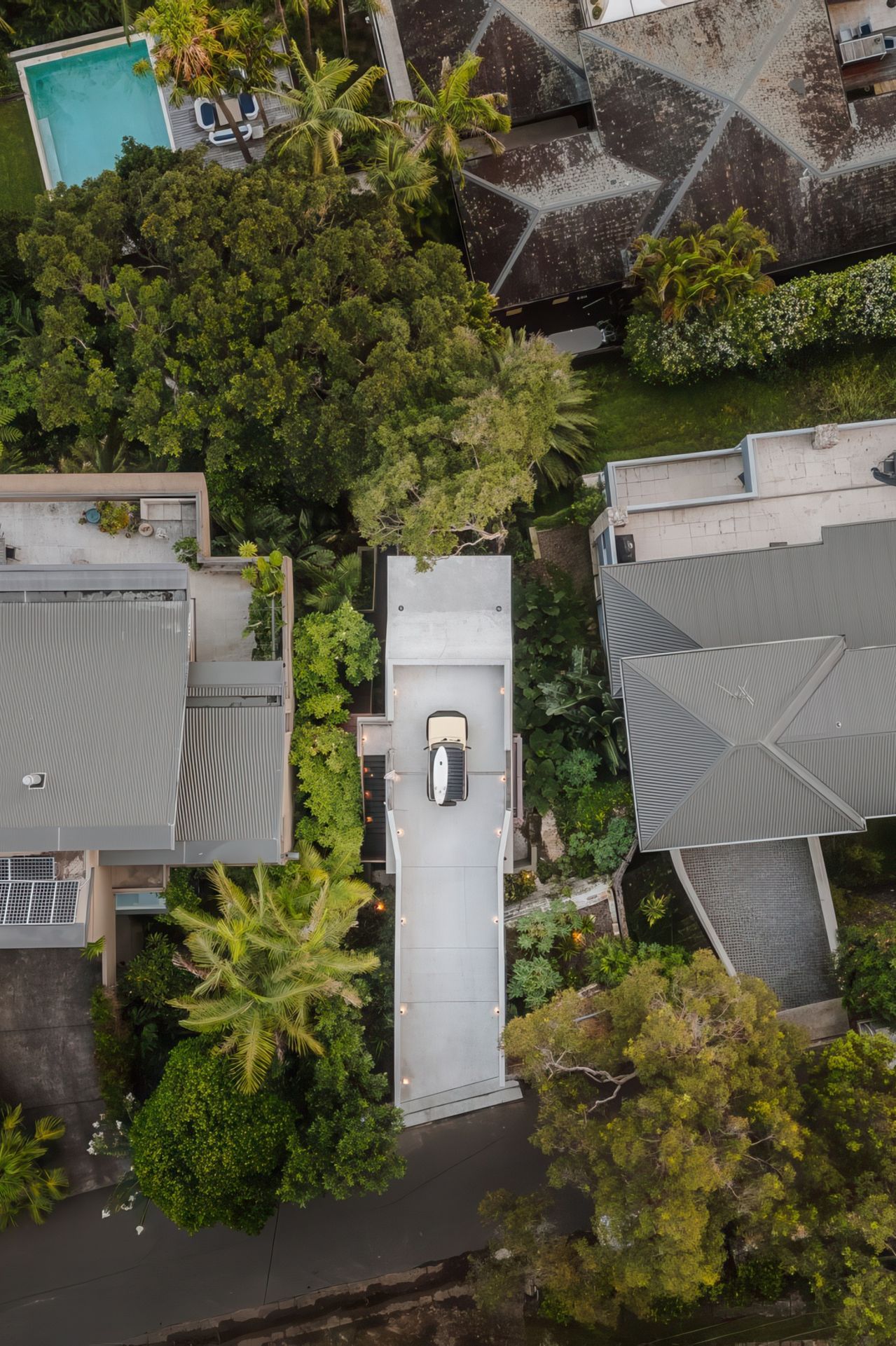 2024-02-29Cadence-CoPalm-Beach4508-Editresized-1441x1080-gigapixel-low-resolution-v2-2x.jpeg