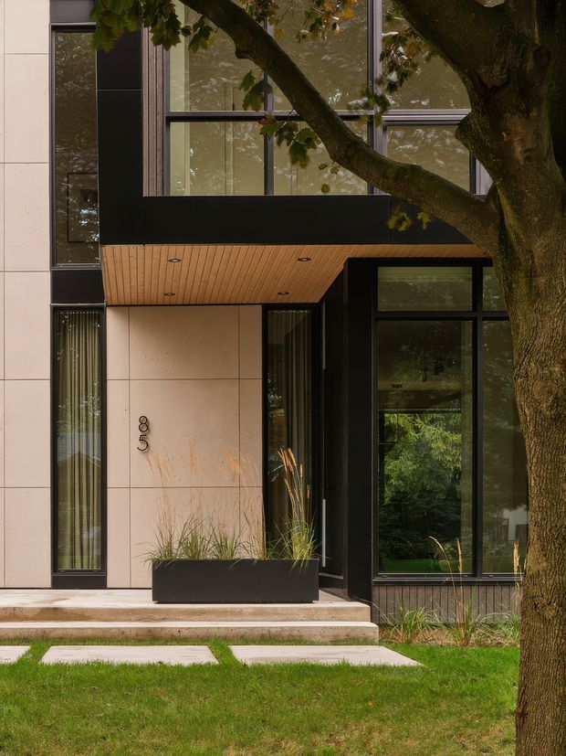 Front exterior view of a contemporary multi-storey residence, showing a recessed entry beneath a timber-lined soffit, pale large-format wall panels, black-framed glazing, and a dark projecting canopy. Tall grasses sit in a built-in black planter, while a mature tree partially screens the facade.