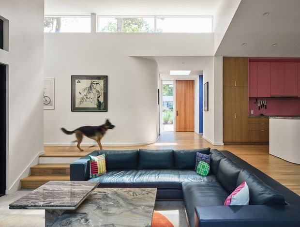 A bright, open-plan contemporary interior viewed from the living room, with a large dark blue L-shaped sectional sofa and layered marble coffee tables in the foreground. Timber flooring and a short set of timber stairs lead toward a hallway and glazed entry door. The rear kitchen has warm timber cabinetry, a burgundy-red splashback and matching upper cabinetry, with high clerestory windows bringing in natural light. A dog is visible on the steps, while framed artwork and colourful cushions add decorative accents.