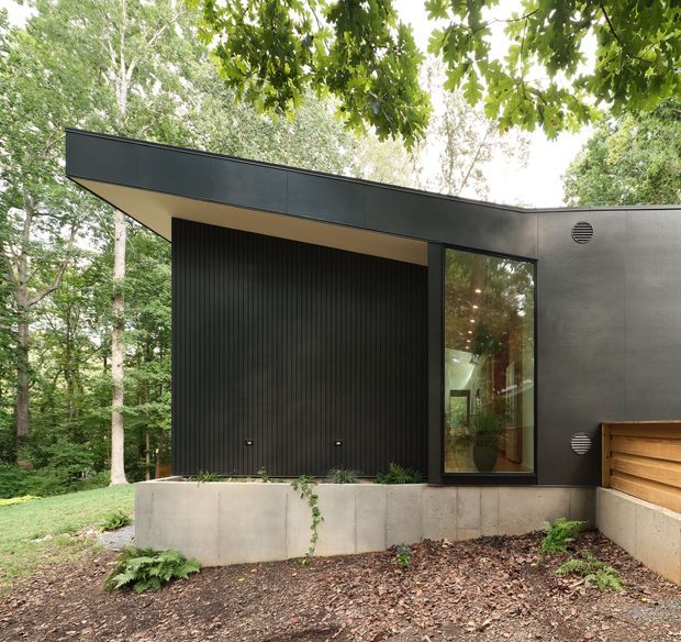 Exterior view of a compact contemporary flat-roof house set among mature trees. The facade combines dark charcoal cladding with a deeply recessed, vertically ribbed entry or garage-like opening, a warm timber soffit, and tall glazing. A low concrete retaining wall and horizontal timber privacy screen frame the foreground.