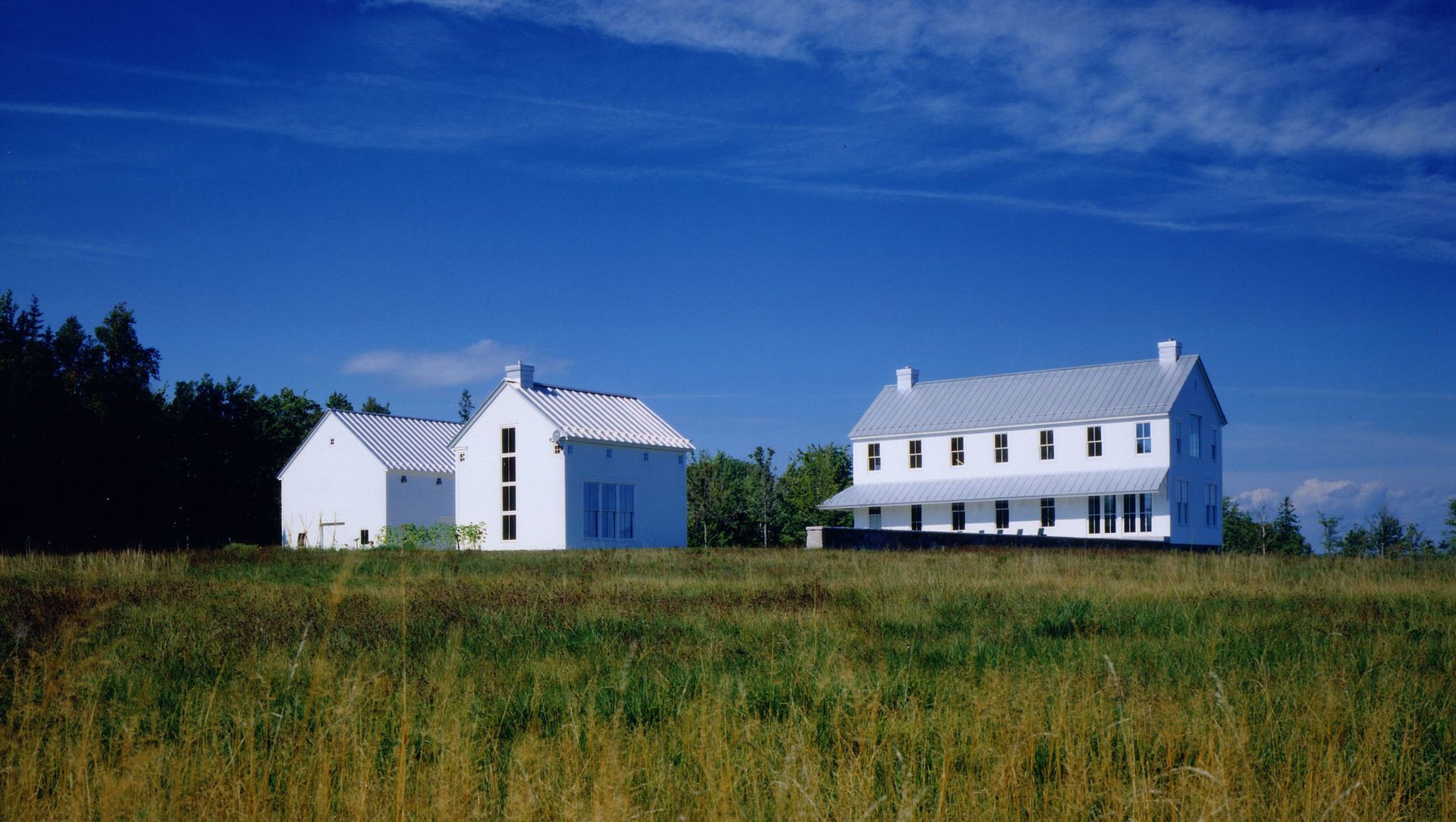 House in a Meadow banner
