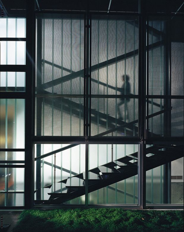 A dark, highly graphic architectural interior or facade view showing a black steel-framed stairway behind translucent vertically ribbed glazing or screens. Strong diagonal stair and structural members contrast with the grid of mullions, while a silhouetted person is visible on the upper level. The lower edge includes a strip of planted greenery. The image has an industrial, dramatic atmosphere with cool muted tones.