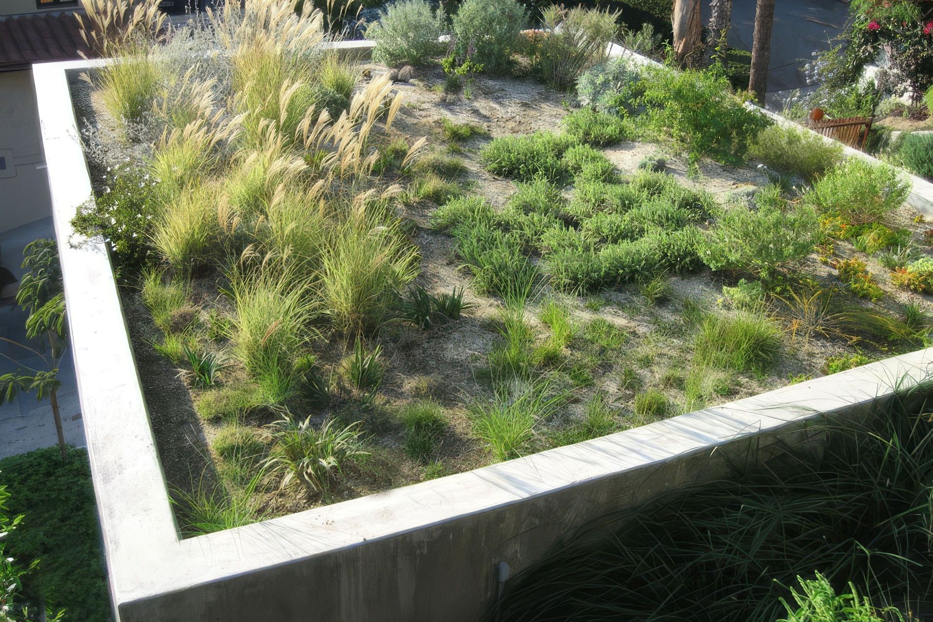 8080garden-upscaled-by-Replicate.jpg