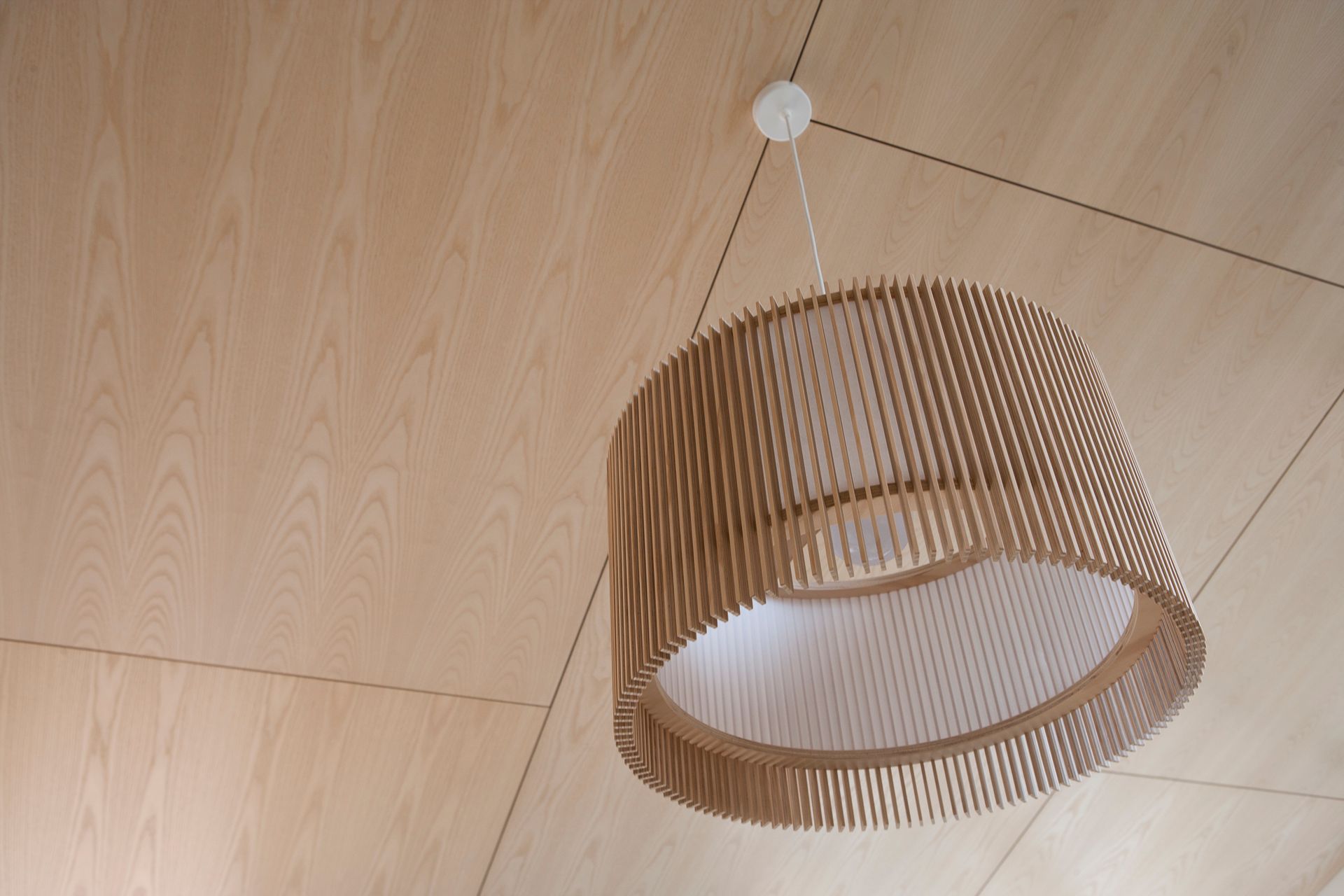 Opawa House