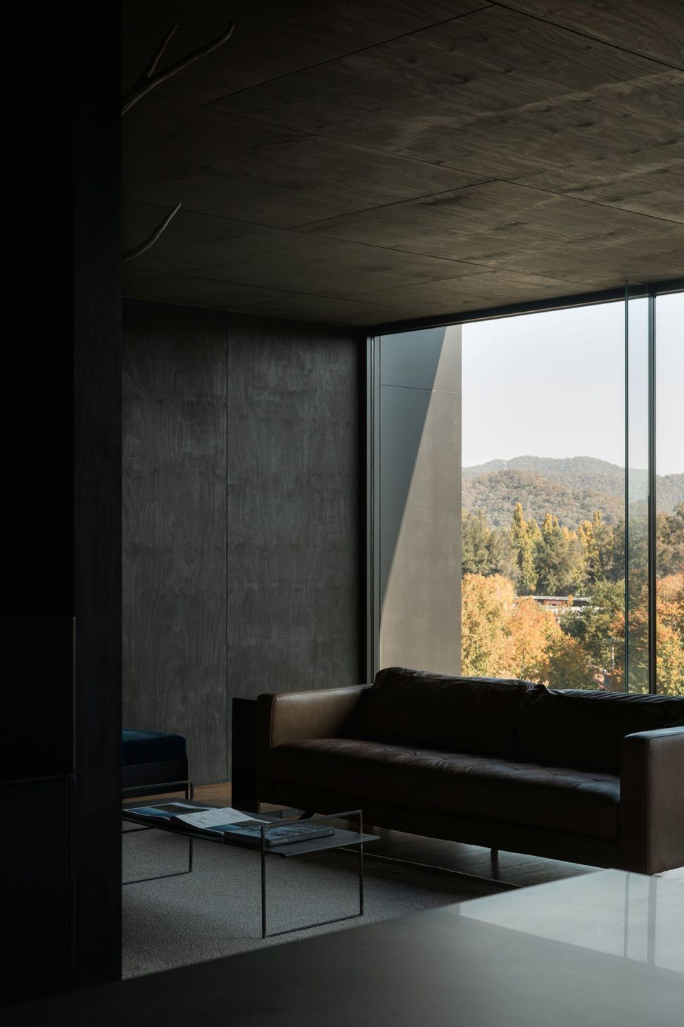 Alpine-House-DX-Architects-Myrtleford-Residential-Regional-3-scaled.jpg