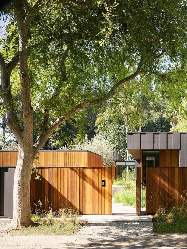 A contemporary residential entrance viewed from outdoors, framed by a mature leafy tree and landscaped planting. The property features warm vertical timber fencing and gates, a dark grey flat-roofed structure with timber cladding, and a paved walkway leading through the entry. Strong sunlight creates dappled shadows across the facade and ground.
