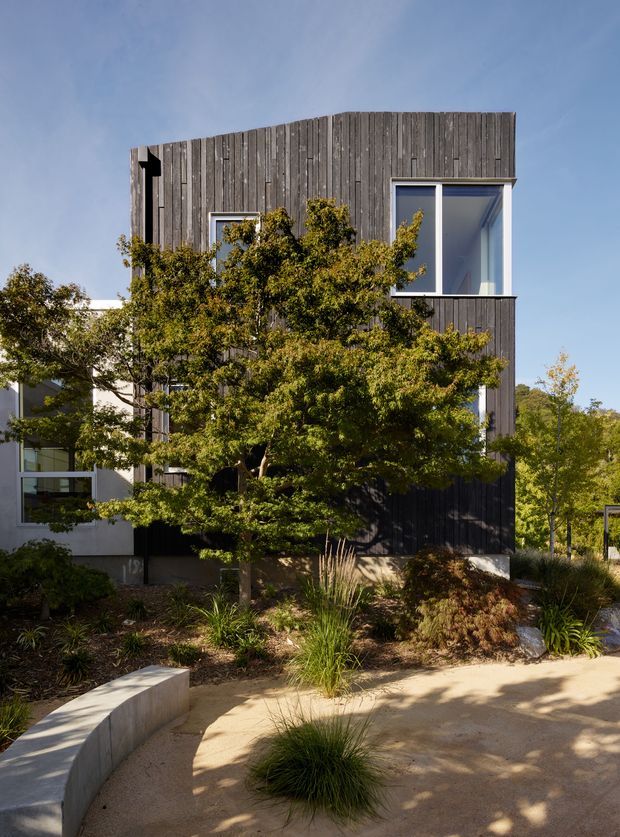 Exterior view of a contemporary multi-storey residence with a dark vertical timber-clad upper facade, large white-framed windows, and a lighter rendered section partially screened by mature landscaping. A curved concrete seat or low wall and landscaped planting occupy the foreground under clear daylight.