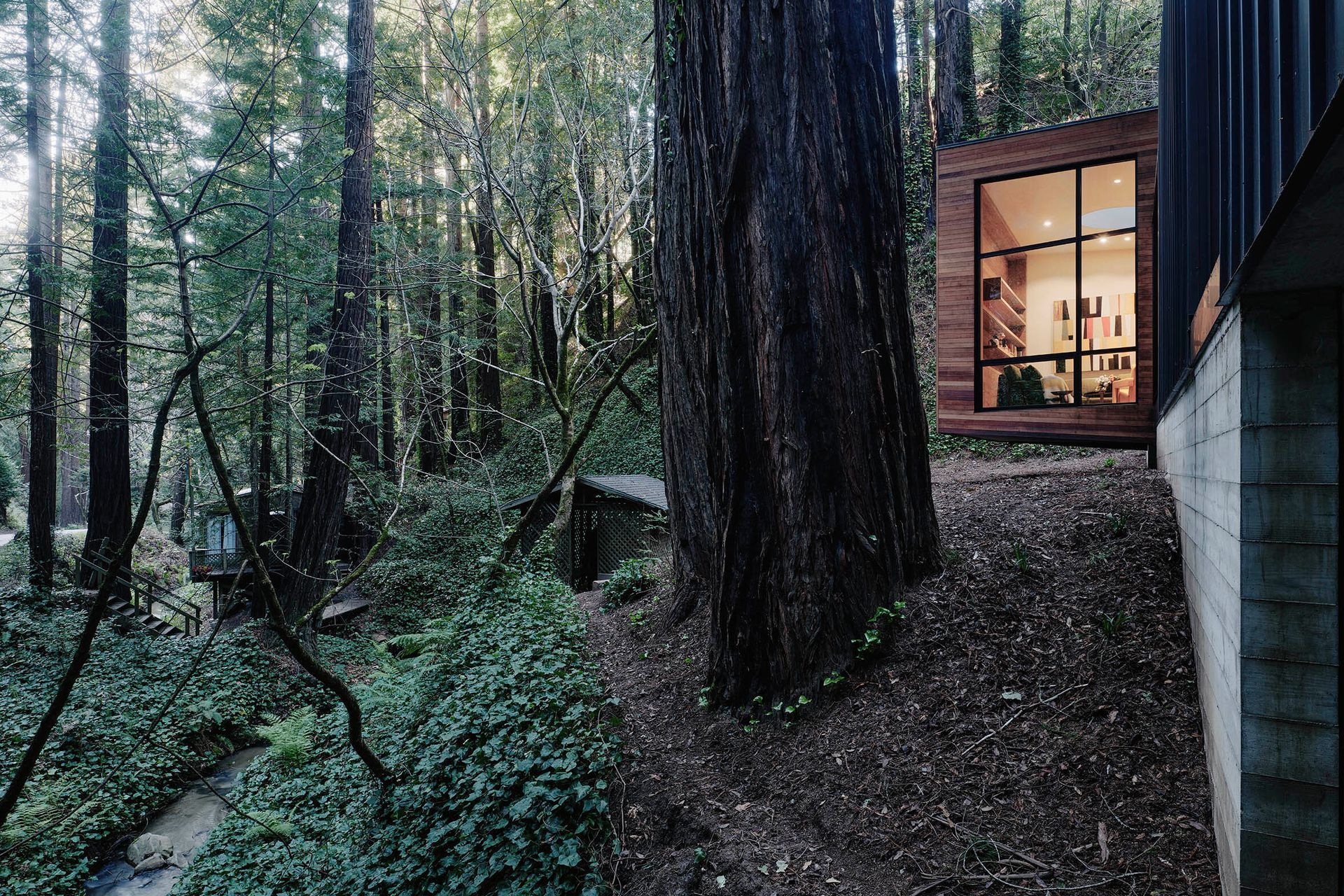 Big-Sur-Cabin-Outside-0-full.jpg