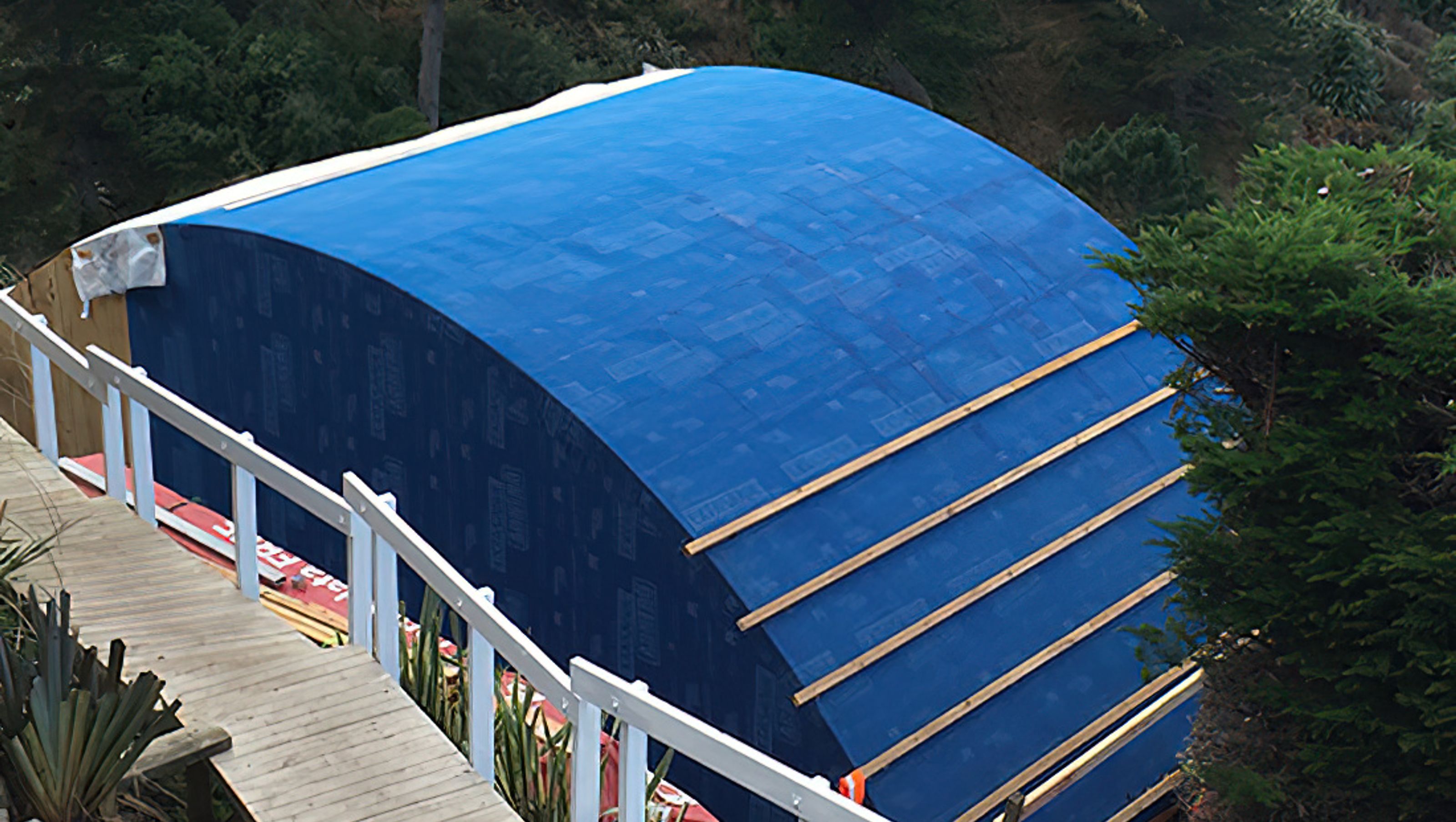 Blue Suede Roofs