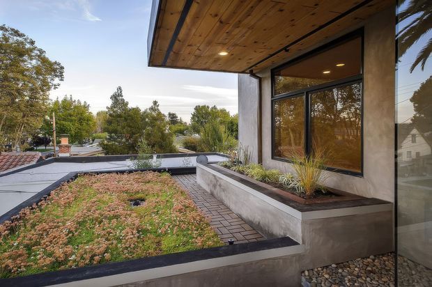 View from an elevated rooftop terrace showing a planted green roof, concrete planter walls, timber soffit, large dark-framed glazing, and a paved walkway. The scene overlooks a leafy suburban setting and includes integrated outdoor planting and architectural roof detailing.