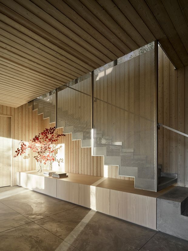 A warm, minimalist interior featuring a sculptural staircase enclosed by perforated metal screening. The space has extensive vertical and horizontal timber lining, a built-in pale timber storage bench, polished concrete flooring, and strong sunlight casting geometric shadows. A small ornamental tree and books add restrained natural accents.