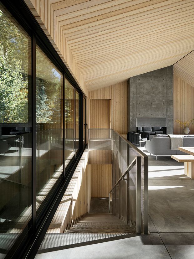 A refined contemporary living space viewed from an open stair landing. The room features extensive black-framed glazing along one side, warm light timber lining across the ceiling and walls, a dramatic exposed concrete feature wall with fireplace, and a sculptural metal stair balustrade descending to a lower level. Neutral grey furnishings and concrete flooring create a calm, light-filled interior with strong indoor-outdoor visual connection.