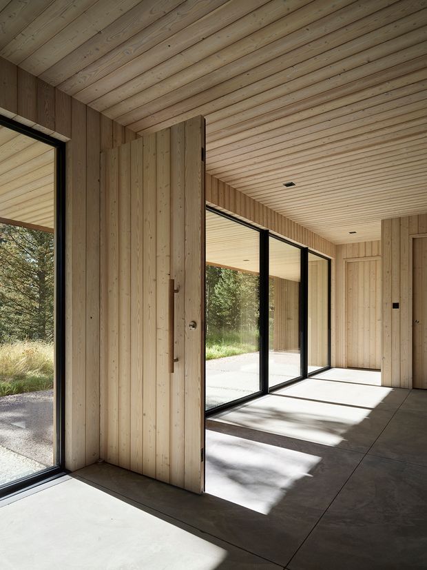 A minimalist timber-lined interior corridor or open living space with floor-to-ceiling black-framed glazing, a large timber pivot door, pale vertical wall boards, a matching slatted timber ceiling, and a smooth concrete floor. Strong sunlight casts shadows across the floor, with landscaped greenery visible through the glazing.