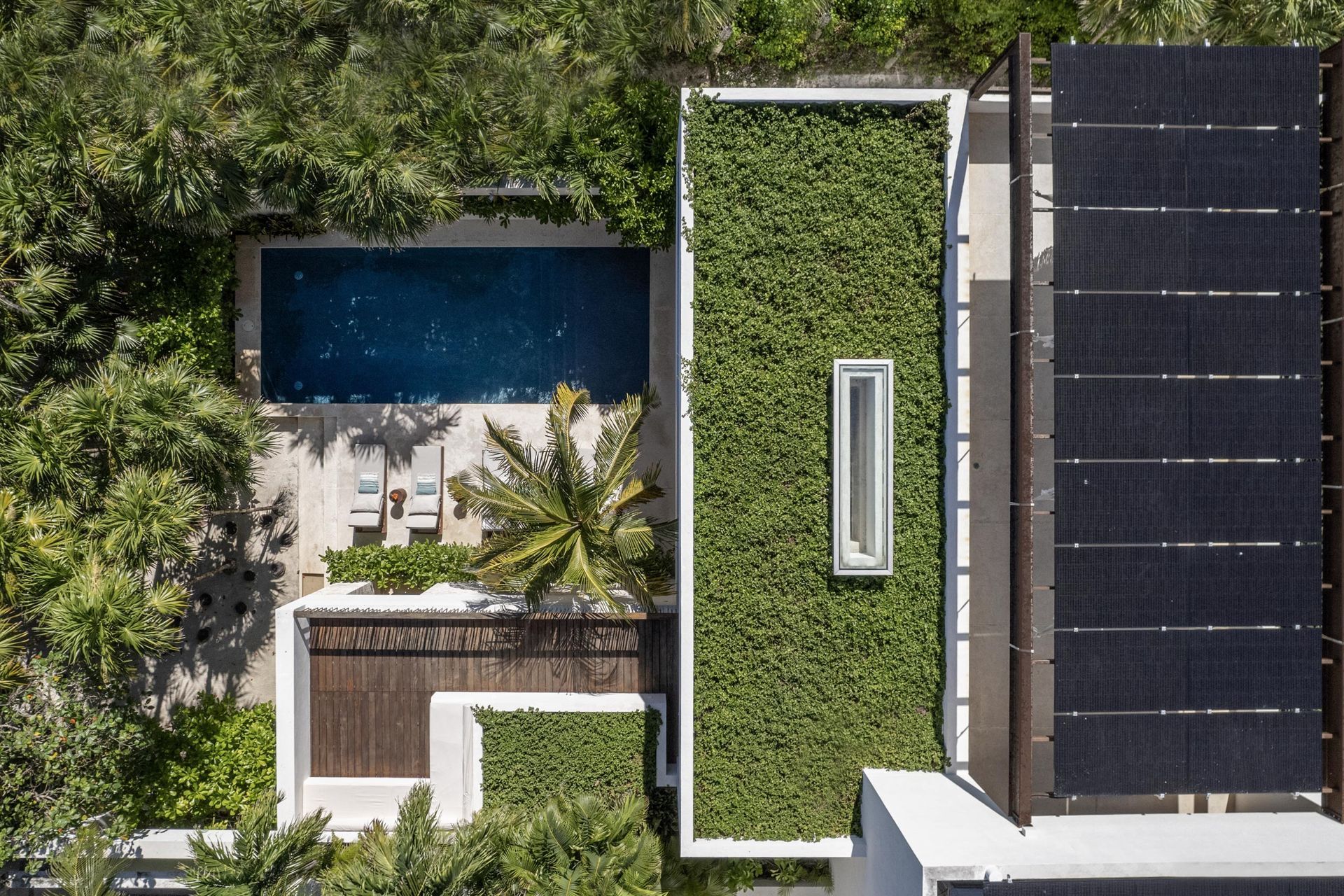 Casa-Xixim-Roof1.jpg