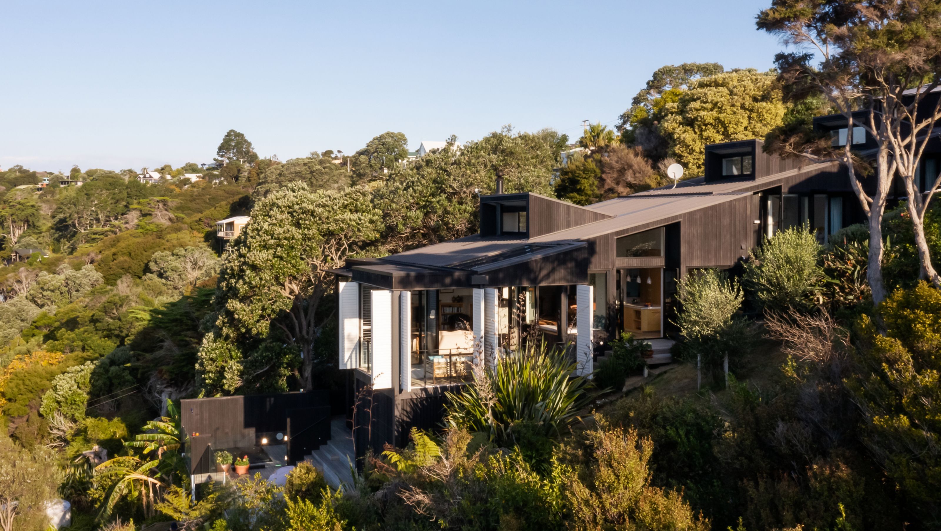 The Skinny House