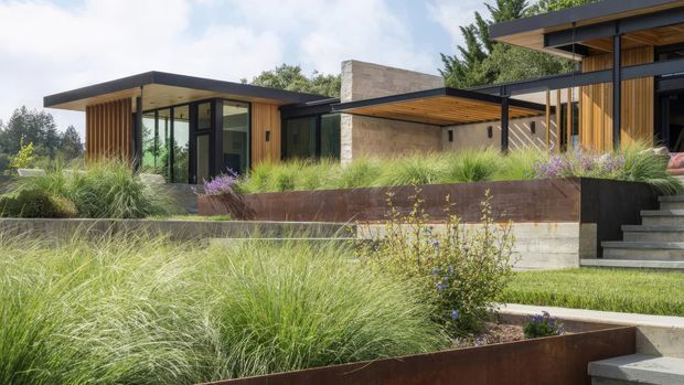 Exterior view of a low-profile contemporary residence composed of interconnected flat-roofed volumes, with extensive floor-to-ceiling glazing, warm timber screening and soffits, dark metal framing, and a prominent stone-clad wall. The house is set within a layered landscaped garden featuring ornamental grasses, planted terraces, weathered steel retaining walls, concrete steps, and neatly edged lawns.