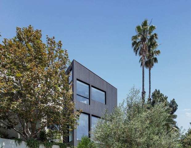 Exterior view of a modern, compact multi-level building partially screened by mature landscaping. The dark vertically clad facade has large black-framed rectangular windows, with tall palms and olive-like trees set against a clear blue sky.