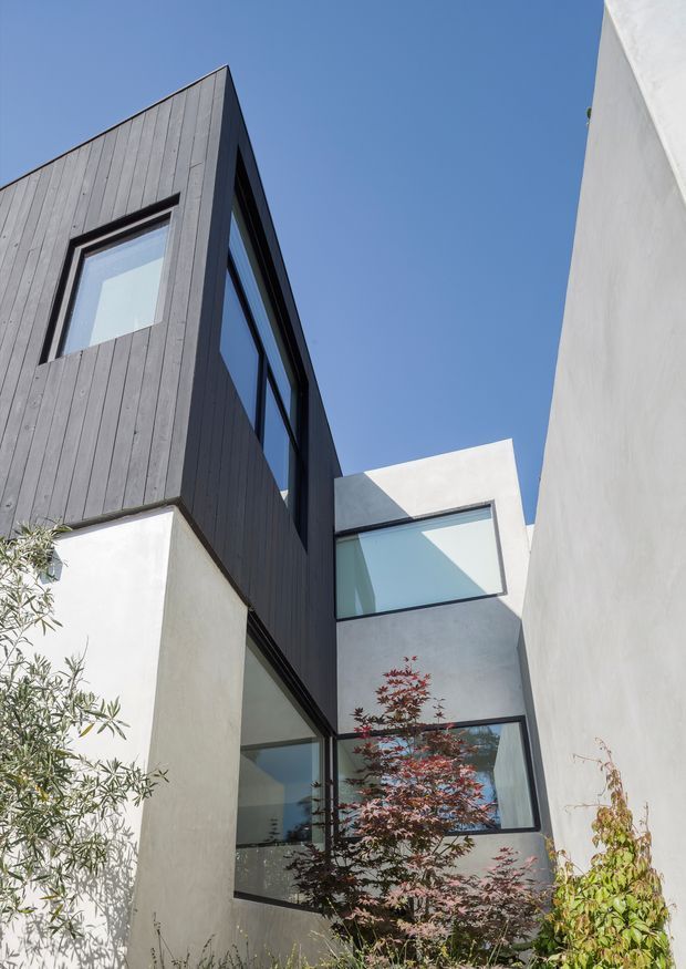 Upward-looking exterior view of a contemporary multi-level residence enclosed by tall white rendered walls. The building features dark vertical timber cladding, crisp geometric forms, large black-framed glazing, and a narrow landscaped courtyard with small trees and planting. Clear blue sky and strong sunlight emphasize the clean, modern composition.