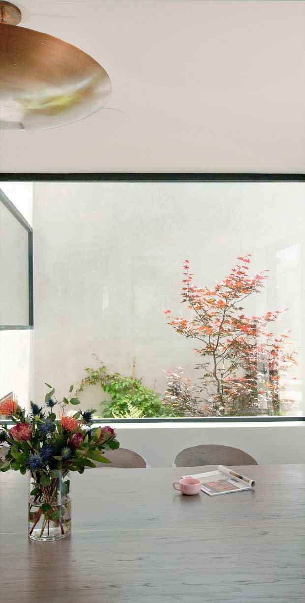 A bright dining area with a pale timber dining table and curved-back chairs positioned beside expansive floor-to-ceiling glazing. A large sculptural pendant light hangs above, while a planted courtyard with a small ornamental tree is visible beyond the glass. A floral arrangement, cup, and magazines sit on the table.