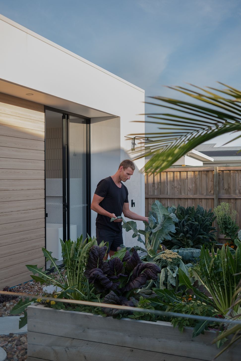 Healthy House