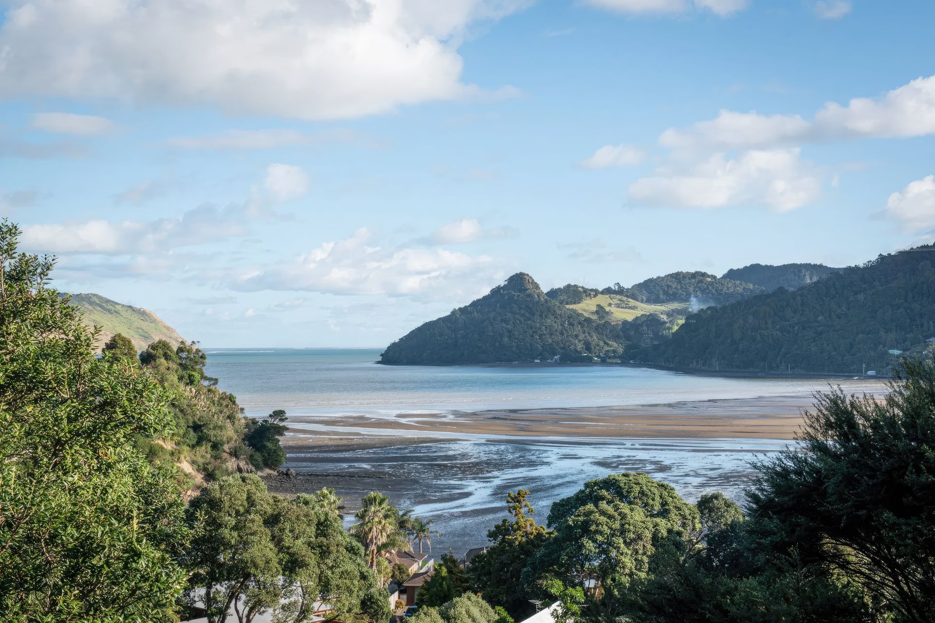 HUIA-16-gigapixel-standard-scale-200x.jpeg