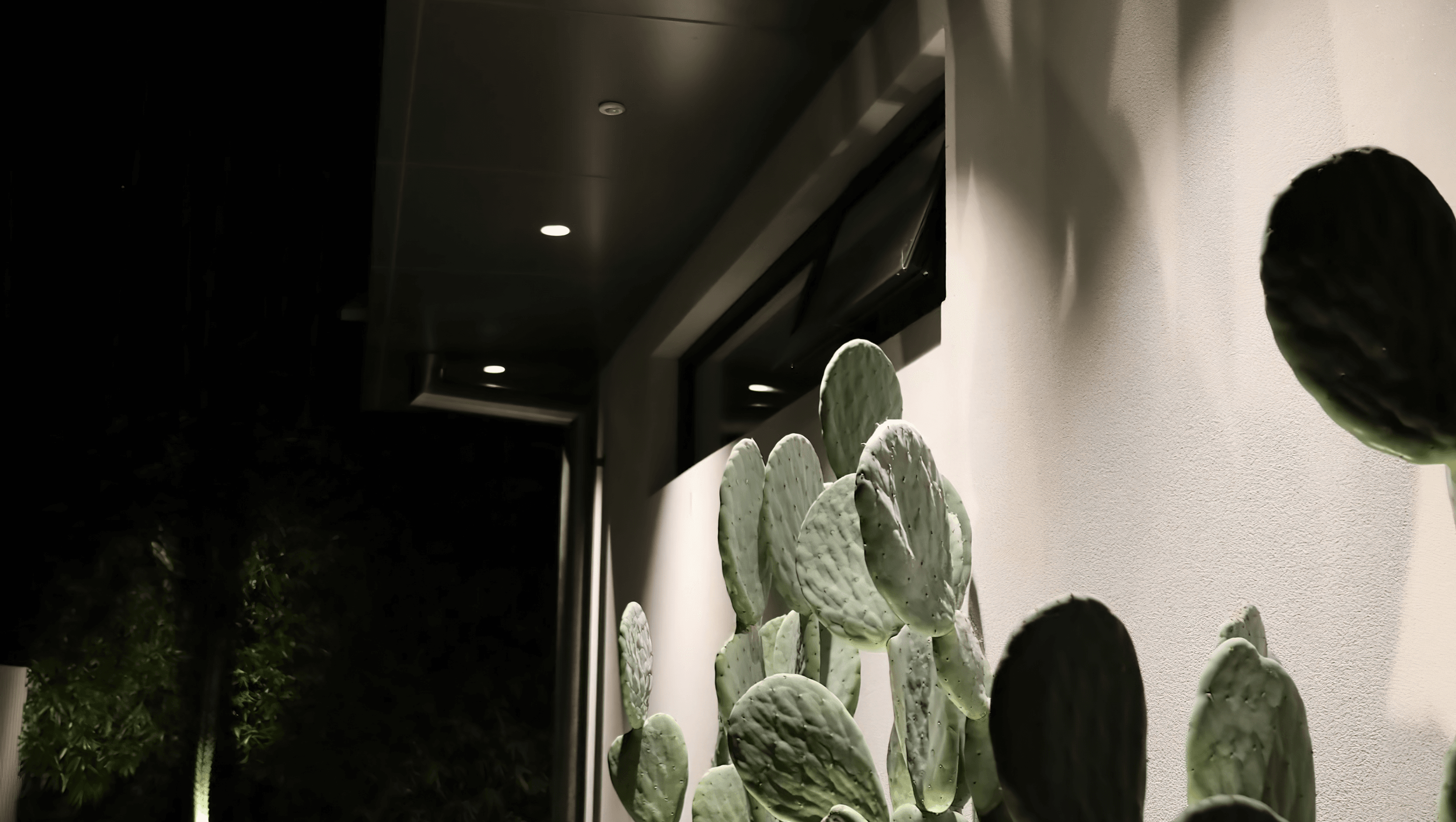 Rose Bay Residence