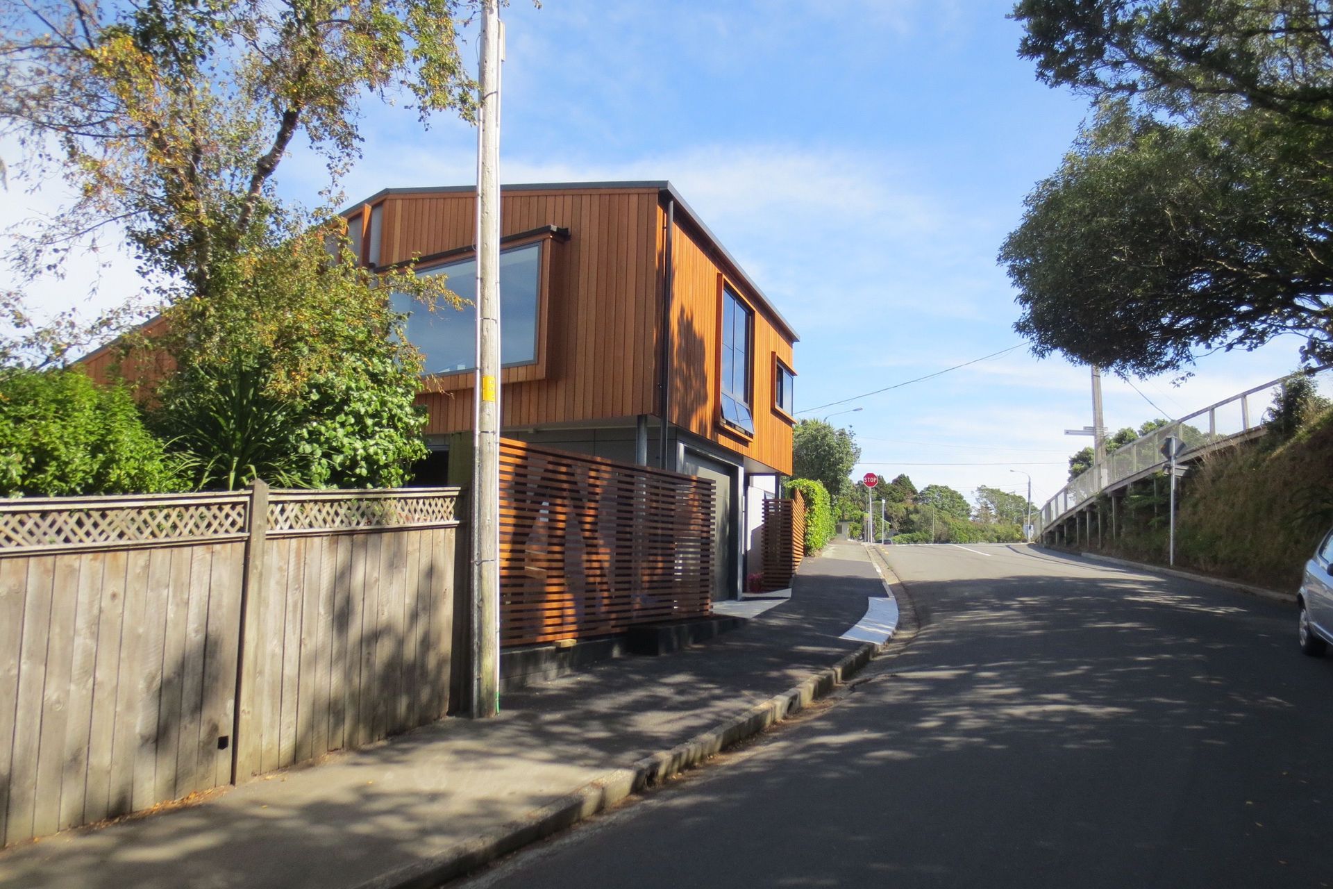IMG1246-v4.jpg
