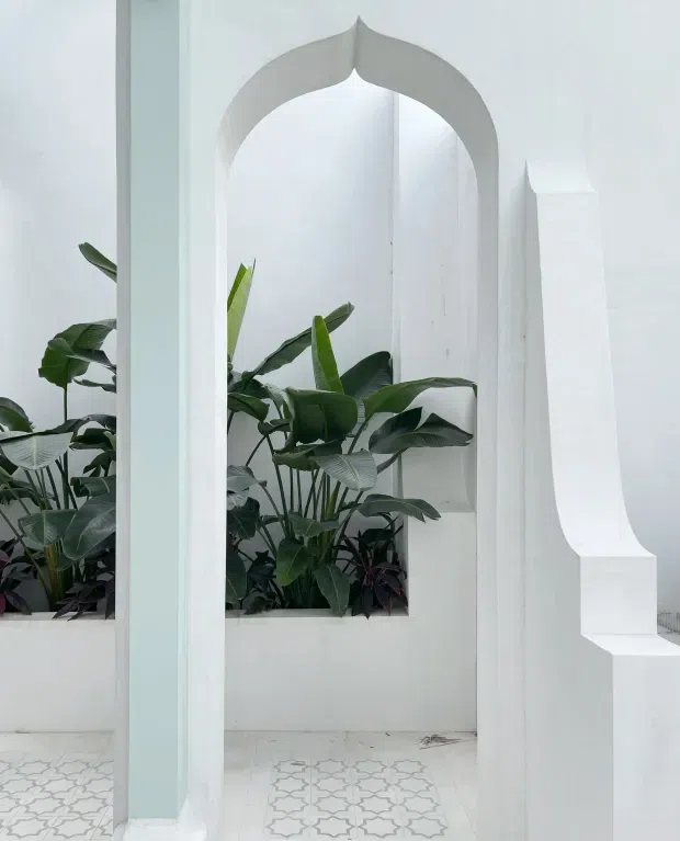 A bright white architectural interior featuring a tall pointed Moorish-inspired arch, sculptural curved wall detailing, a raised planter filled with lush tropical foliage, and patterned light-coloured floor tiles. The space is highly minimal and monochromatic, with strong geometric and organic contrasts.