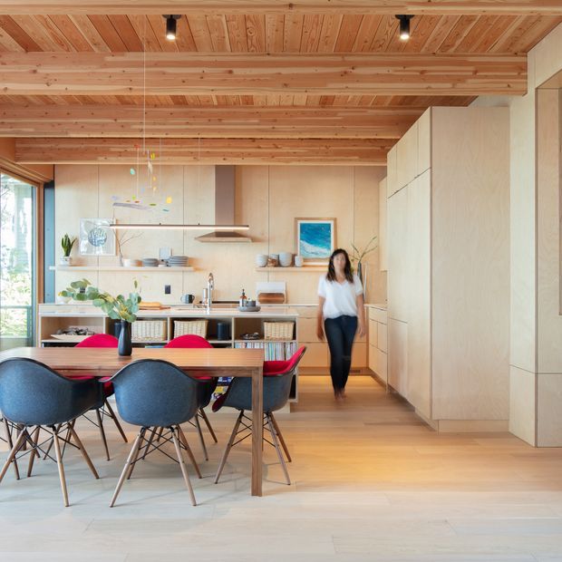 Warm open-plan kitchen and dining interior with extensive light timber construction. The room features a timber-lined ceiling with exposed beams, pale timber flooring, a large timber dining table, dark molded dining chairs, open kitchen shelving, a pale timber island or cabinetry wall, and broad glazing at the left. The space is bright, natural, and contemporary with restrained furnishings and colorful artwork accents.