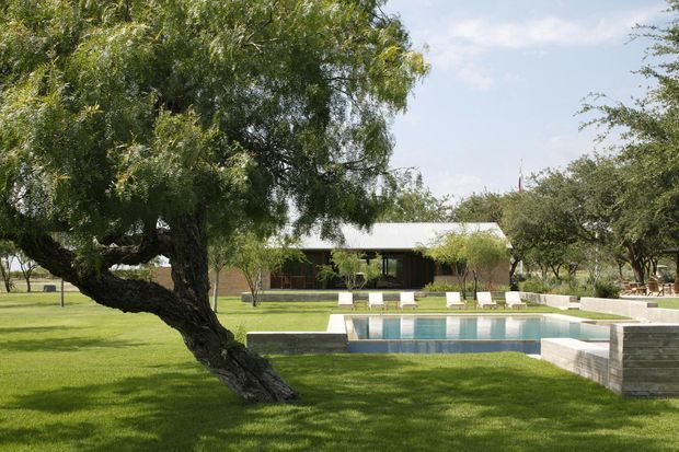 A landscaped outdoor setting with a long rectangular swimming pool, broad lawn, mature willow-like trees, and a low modern pavilion in the background. The pool has pale stone or concrete coping and a raised, horizontally clad feature wall at one end. White loungers line the pool edge, creating a calm resort-like composition.