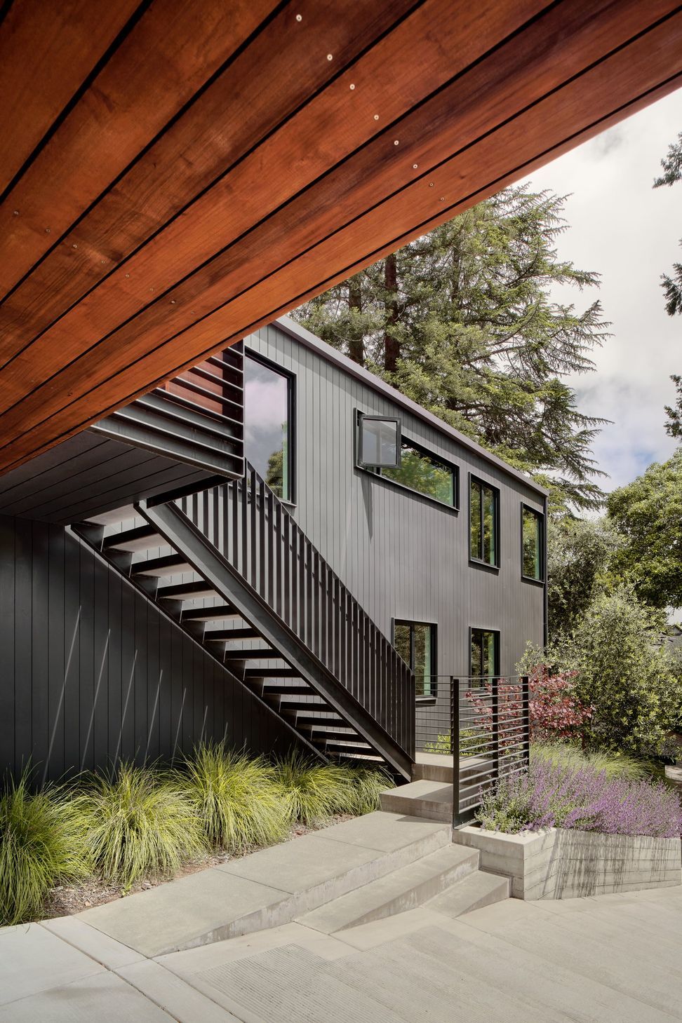 MillValley-07.jpg