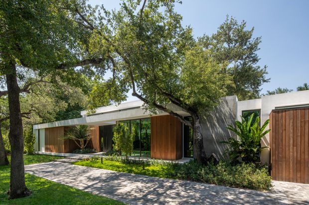 Single-storey contemporary residence viewed from the front, with a low horizontal roofline, white rendered walls, extensive dark-framed glazing, and warm vertical timber-clad entry and garage doors. Mature trees, dense planting, and a paved driveway frame the facade.