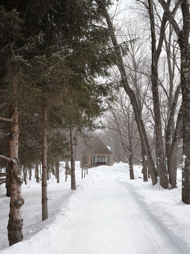 A snow-covered driveway or path runs through a dense wooded property toward a small single-storey cabin-like building. Tall evergreen and leafless deciduous trees frame the scene, while the building has a steep pyramidal or hipped roof, muted timber-toned walls, and a visible chimney. The overcast winter setting creates a quiet, secluded atmosphere.