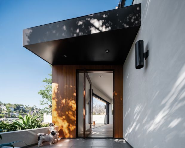 Modern residential entry viewed from outdoors, featuring a projecting flat-roof canopy with black soffit and recessed downlights, warm vertical timber-clad entry walls, a dark-framed glazed pivot door, and a smooth white rendered side wall. A small dog and planting are present in the foreground, with a leafy hillside neighbourhood visible beyond.