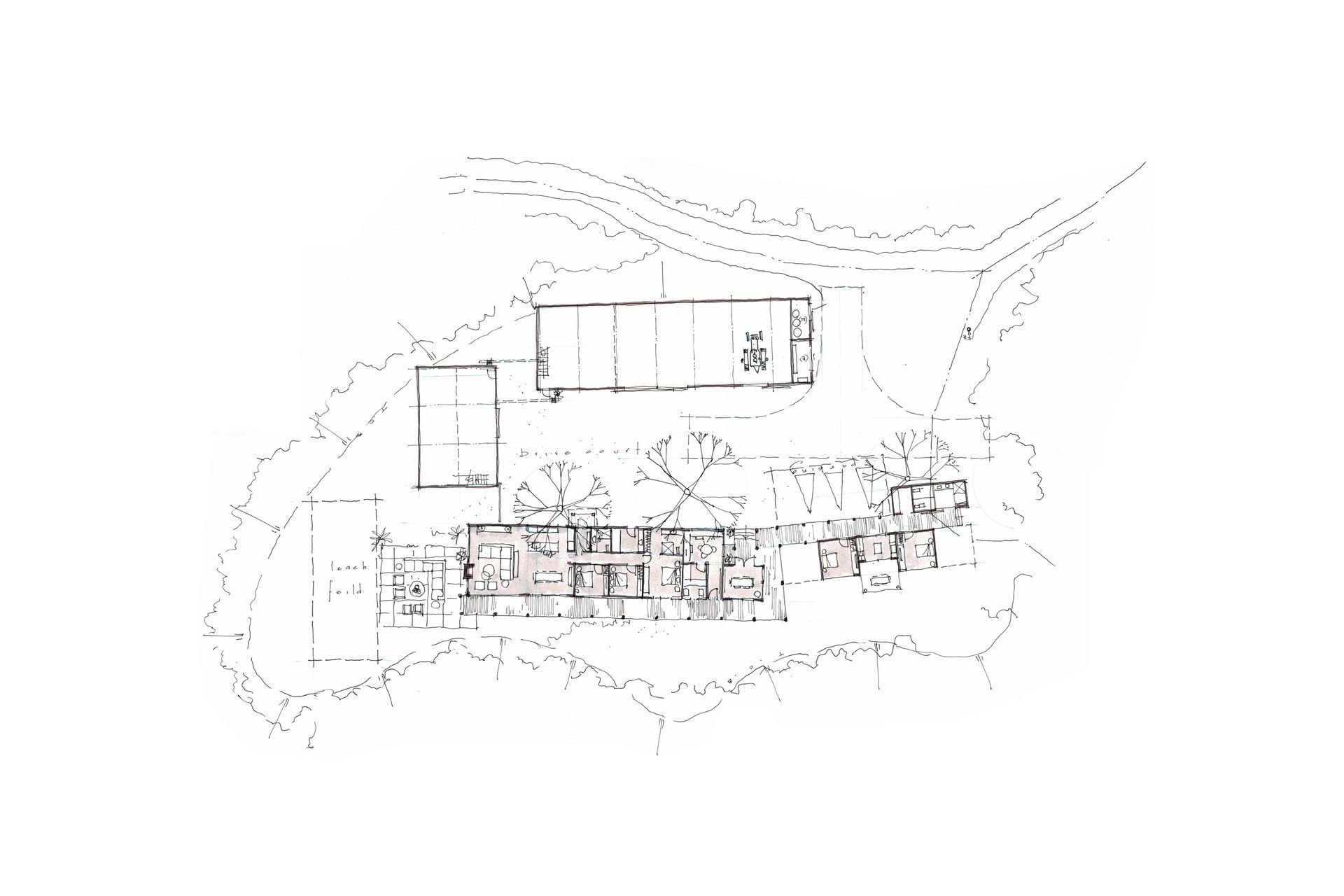 Sketch4.jpg