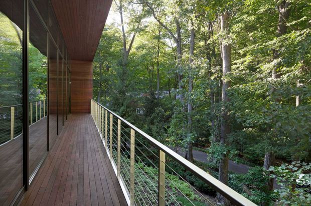 A long, narrow elevated timber balcony or terrace runs along a modern building, bordered by slim metal posts and horizontal cable railing. Floor-to-ceiling glazing and warm timber cladding line the building side, while dense mature woodland surrounds the deck below and beyond. The image has a clean contemporary architectural character and a strong connection to the forest setting.