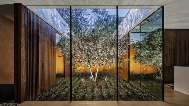 Interior view looking through full-height black-framed glazing into a small enclosed landscaped courtyard. Vertical dark timber screening and warm timber fencing surround a central tree and low planting, while reflective glazing creates layered views. Dark timber joinery and a pale floor are visible at the sides, with a calm, refined contemporary composition.