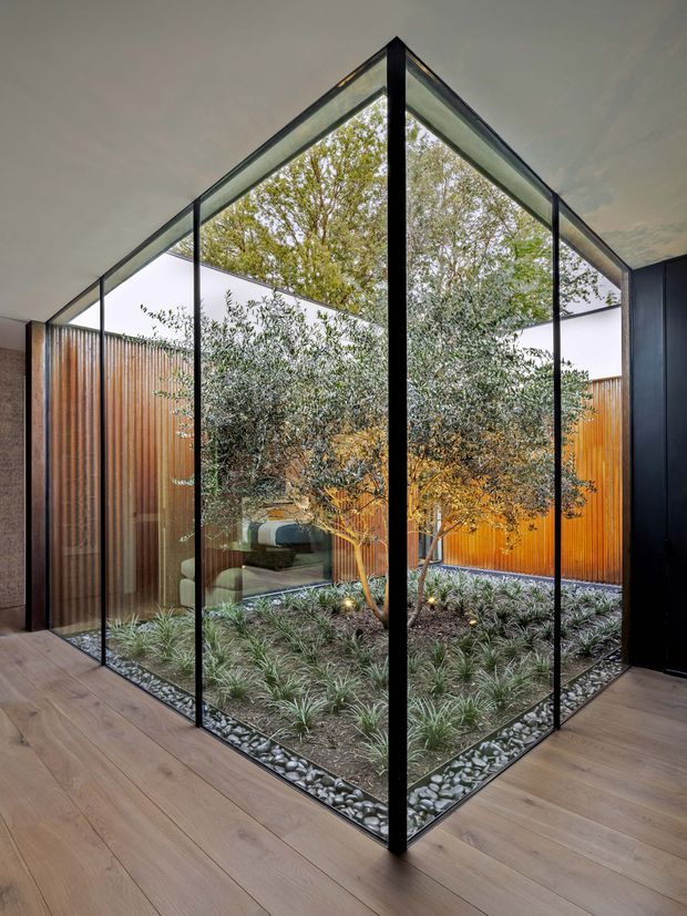 Interior view centered on a dramatic glazed corner courtyard. Floor-to-ceiling black-framed glass encloses a landscaped internal garden with small trees, grasses, gravel, and timber privacy screens. Warm timber flooring surrounds the courtyard, while a reflected or adjoining seating area is visible through the glazing. The space has a refined contemporary architectural character with strong indoor-outdoor connection and abundant natural light.