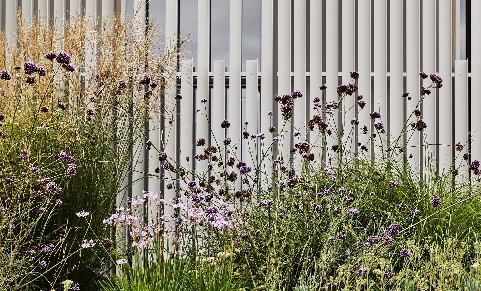 Brunswick East Residence