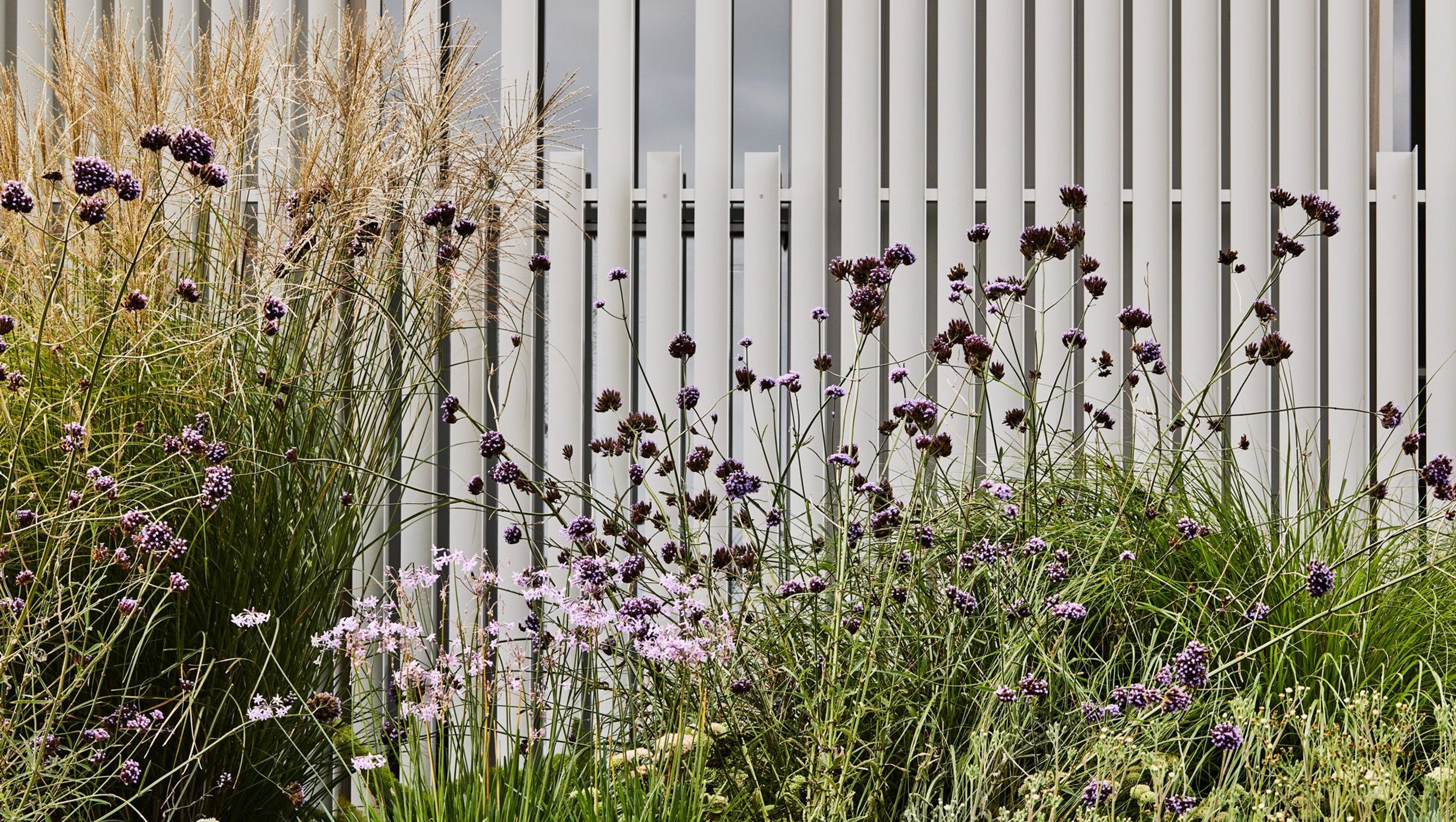 Brunswick East Residence