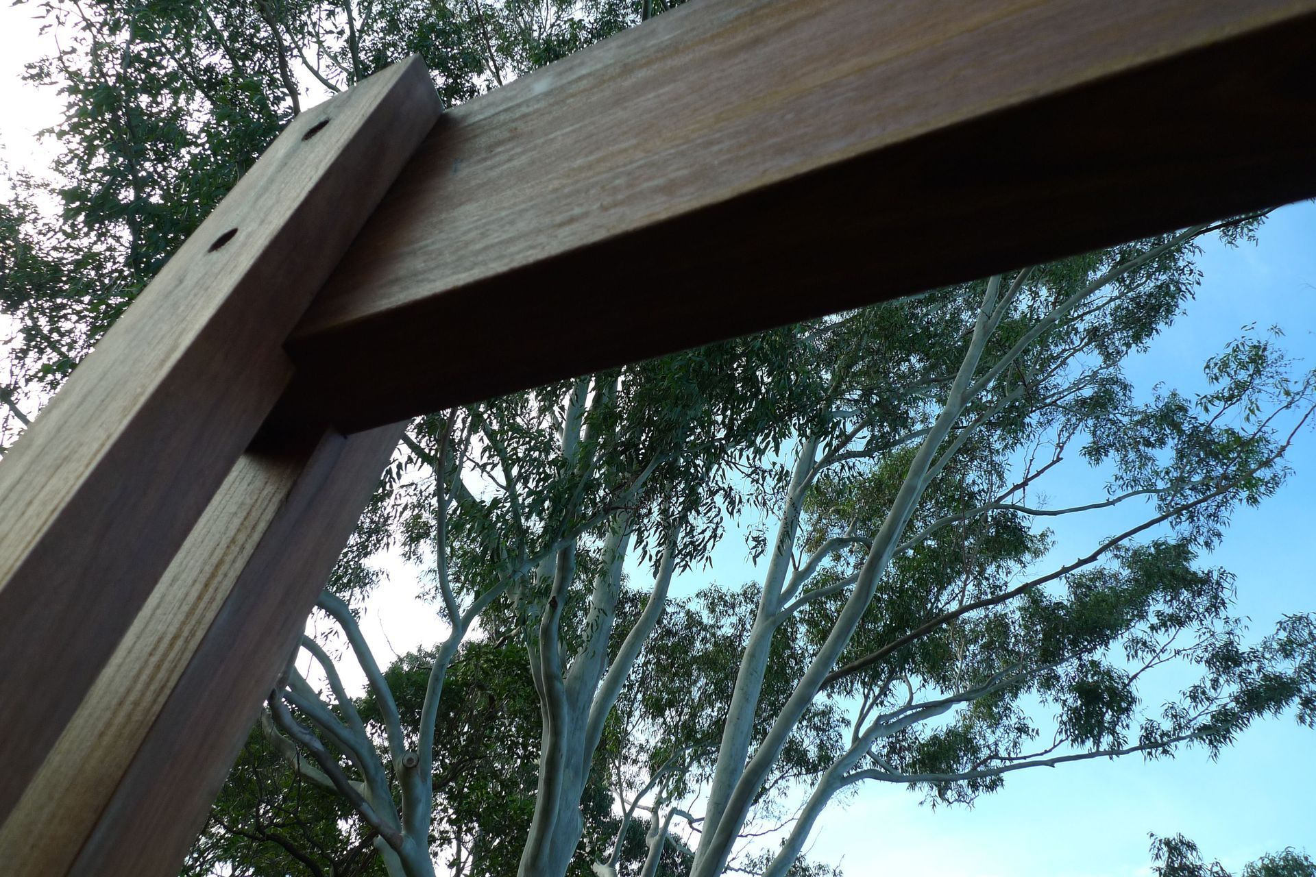 Tree House