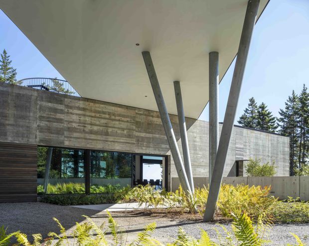 Exterior architectural view of a contemporary concrete house with a dramatic cantilevered flat roof supported by angled cylindrical steel columns. The facade combines board-formed concrete walls, extensive dark-framed glazing, and dark timber cladding. A gravel forecourt with landscaped ferns sits beneath the overhang, with trees visible beyond.