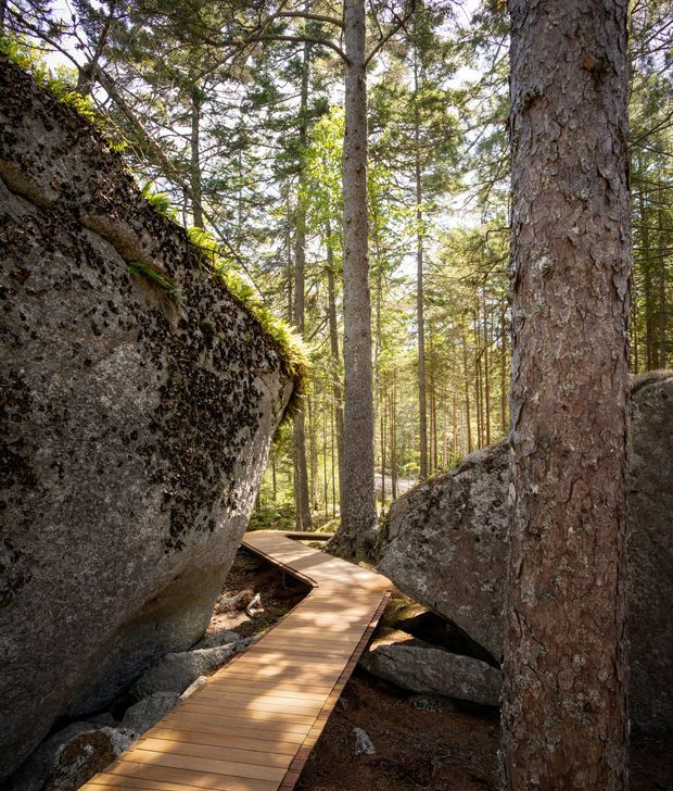 A narrow timber boardwalk winds through a sunlit forest, passing between large weathered granite boulders and tall pine trees. The natural setting is rugged and tranquil, with dappled light across the wooden path and moss-covered rock surfaces.