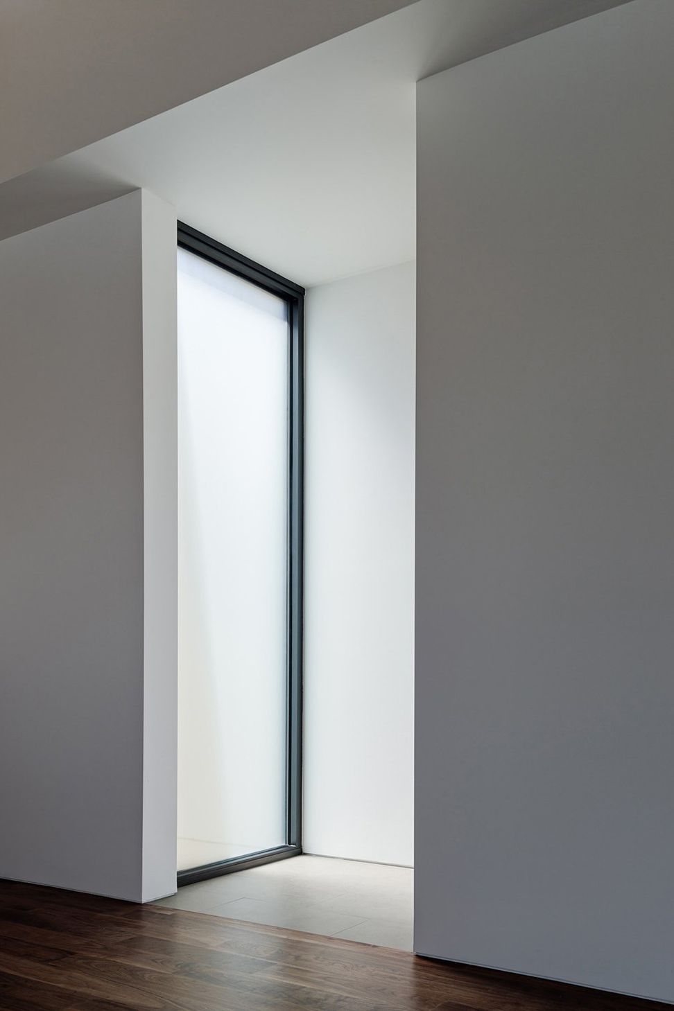 WINDOW.jpg