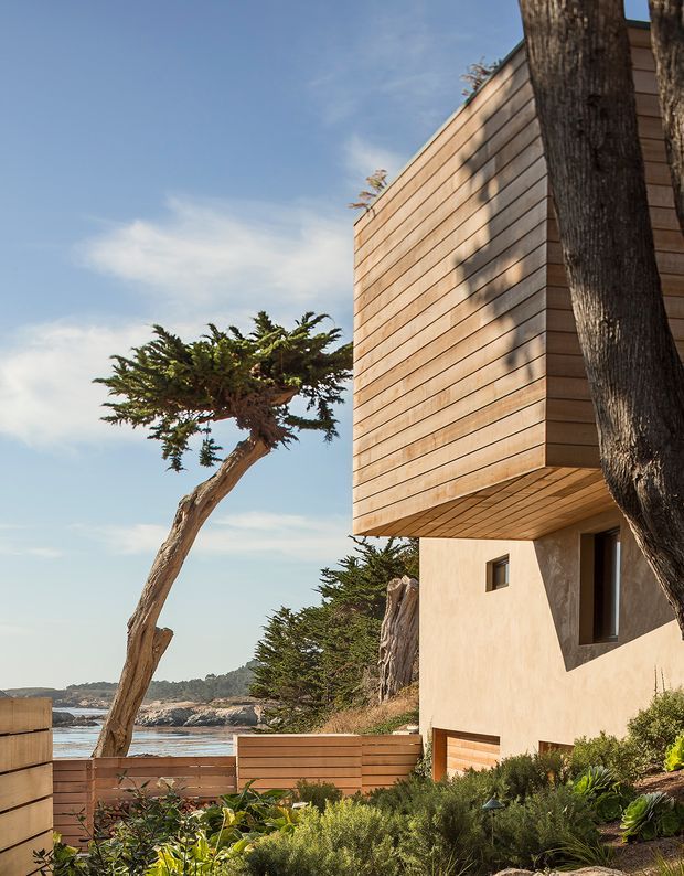 Exterior architectural photograph of a contemporary coastal house set beside a rocky shoreline. The building features a projecting upper volume clad in horizontal timber boards, a rendered lower level with recessed windows, and timber fencing integrated into a landscaped coastal garden. Wind-shaped trees, ocean water, rocky shore, and clear sky establish the coastal setting.