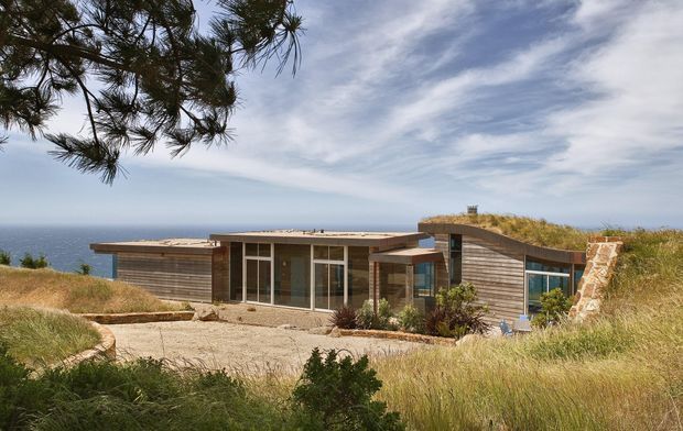 Single-storey coastal residence set among dune grasses beside the ocean. The low, horizontally composed building has timber-clad walls, extensive glazed doors and windows, flat roof sections, and a planted grass-covered roof over the right wing. A pale paved approach and native landscaping lead to the entrance, while a large tree frames the upper left.