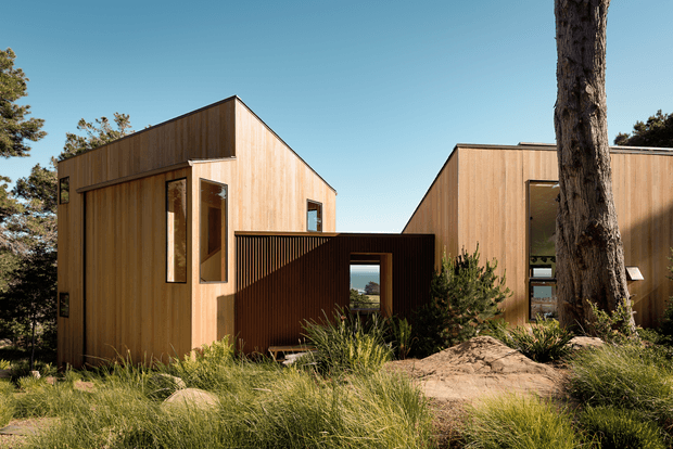 Exterior view of a cluster of contemporary timber-clad buildings set among native grasses, shrubs, and mature trees on a natural, slightly elevated site. The composition features simple angular volumes with pitched roof forms, deep window reveals, and a dark timber privacy screen or connecting element. Glazing provides limited views through the buildings toward the landscape beyond.