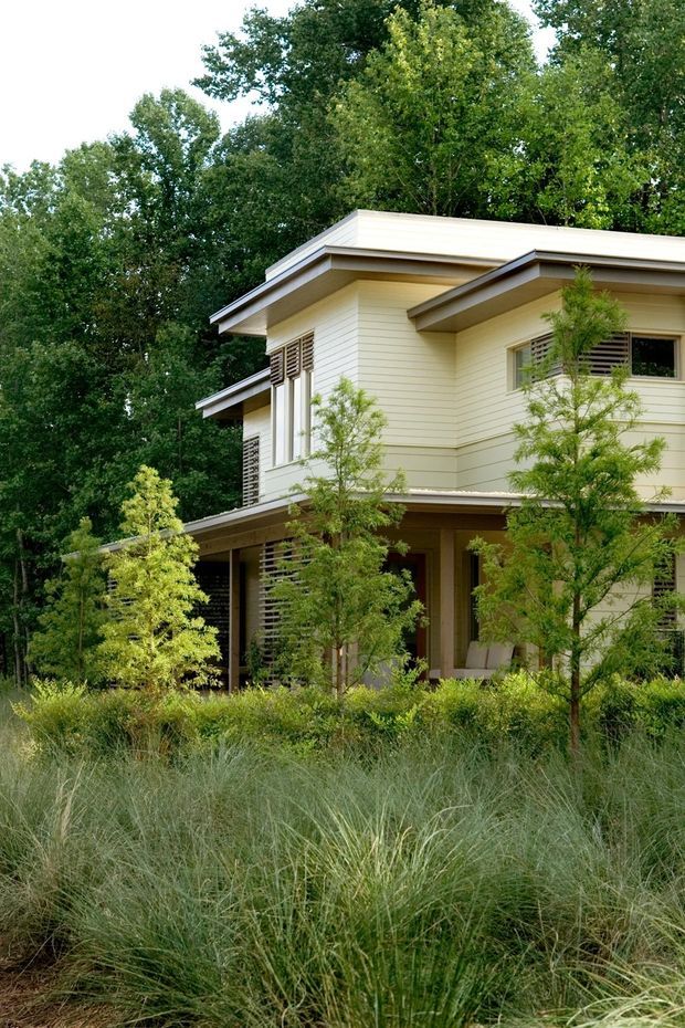 Exterior view of a two-storey residential house set within dense landscaped vegetation. The home has pale horizontal weatherboard cladding, broad low-pitched roof overhangs, dark contrasting trim, screened windows, and a partially recessed covered entry or veranda. Natural grasses and trees dominate the foreground and surround the building.