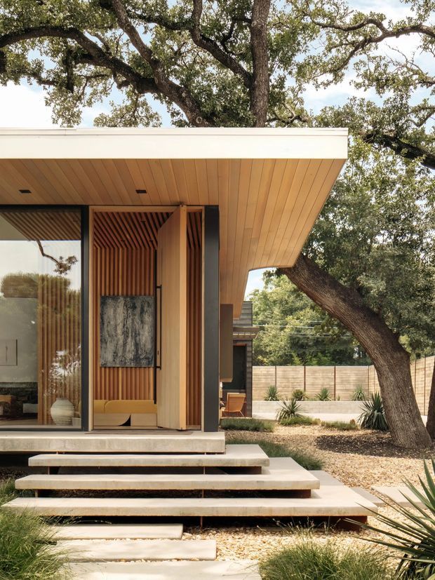 A contemporary single-storey pavilion-like house set among mature oak trees. The image focuses on a projecting flat roof with a warm timber-lined soffit, extensive floor-to-ceiling glazing, dark metal framing, and a recessed entry clad in vertical timber slats. Broad floating concrete steps lead to the elevated entrance, with a landscaped gravel garden, drought-tolerant planting, and a timber privacy fence visible around the home.