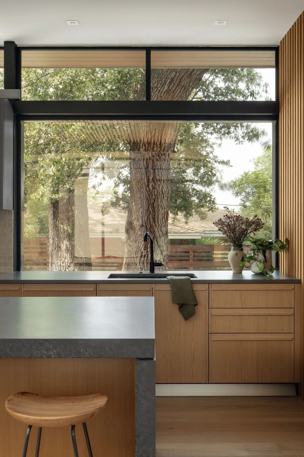 imgi46Coxist-LiveOaks10.jpg
